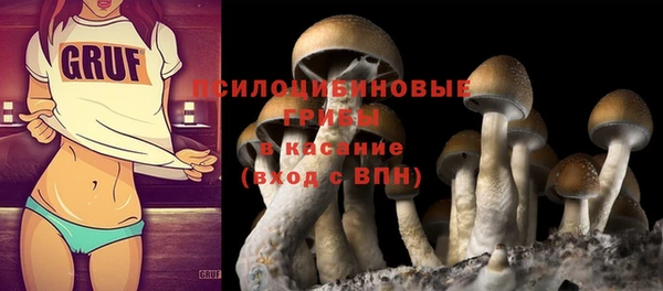 спиды Беломорск