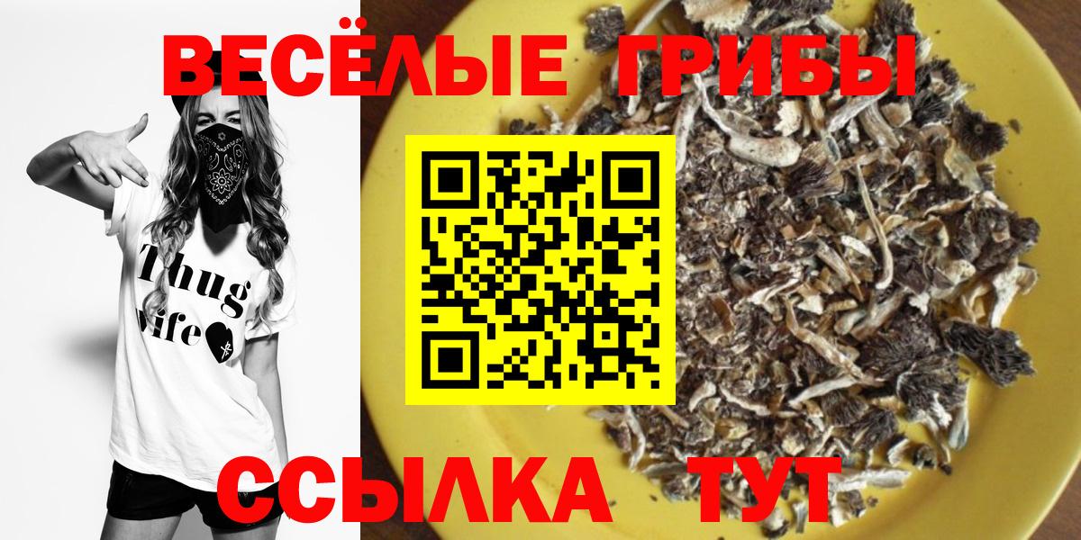 Благодарный  Галлюциногенные грибы Cubensis  наркотики  Вход с VPN 