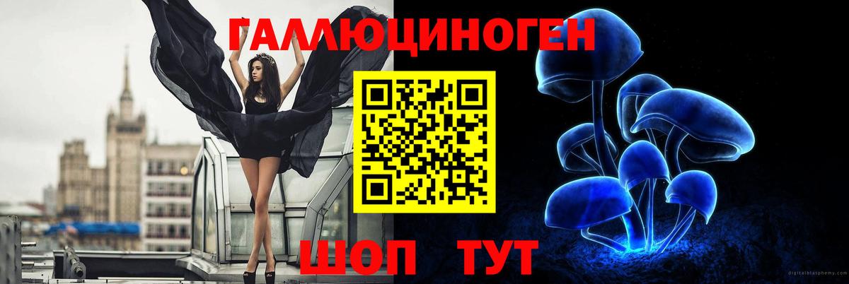 Псилоцибиновые грибы прущие грибы Благодарный